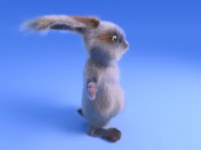 Rabbit - Cartoon style - rigged 3D model