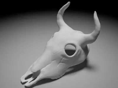 Bull skull 3D print model