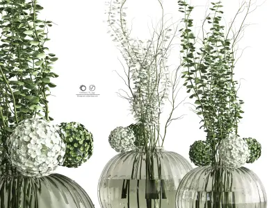 Bouquet collection Plant in glass 3D model