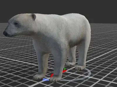 Polar Bear Low-poly 3D model