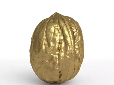 Golden Walnut Decorative 3D model