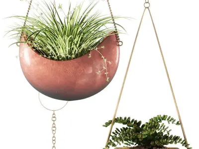 Hanging plants 143 3D model