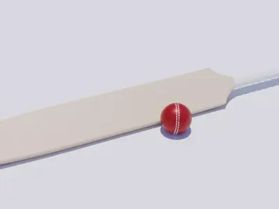 Cricket Bat and Ball 3D model
