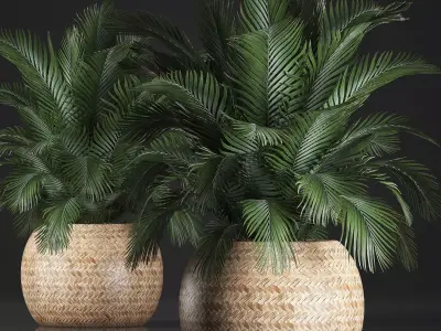 Decorative palm tree in a pot 3D model