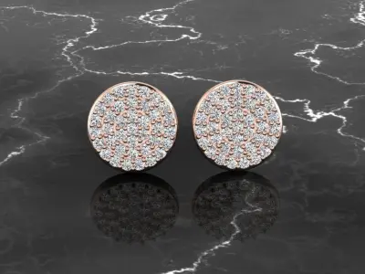 Earring Jewelry 3D print model order