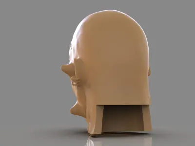 Prisioner Tortured Head 3D print model