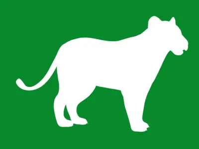 Lion Cub Low-poly 3D model