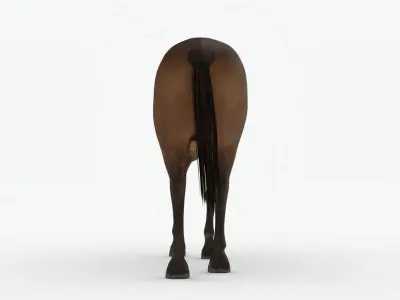 Lowpoly brown Horse Low-poly 3D model