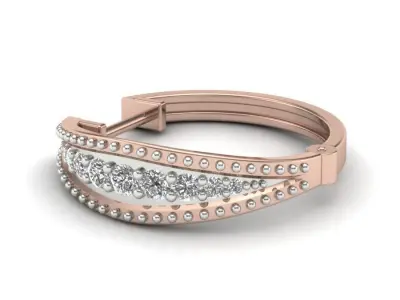 Women Earrings 3D print model