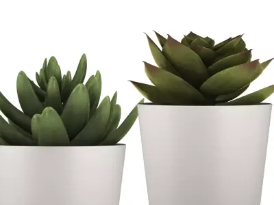 Small Fejka Plants 3D Models for Element 3D And Cinema 4D 3D model