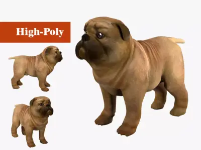 small dog bulldog  rig  high-poly  textured 3D model