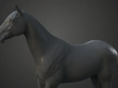 Horse Model 3D model