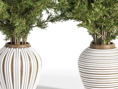 Indoor Plant Set 19 3D model