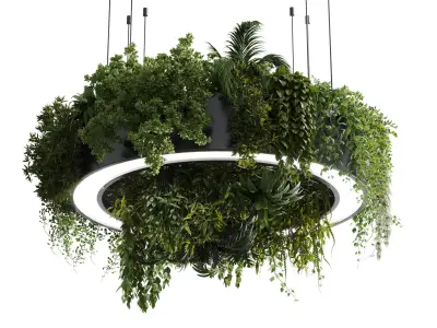 circle pot light pendant - plant light hanging 13 Low-poly 3D model