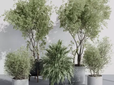 indoor plant set 387 plant tree palm bush concrete dirt vase Low-poly 3D model