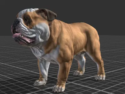 Dog - Bulldog Low-poly 3D model