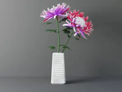 Chrysanthemum Flower 3D model