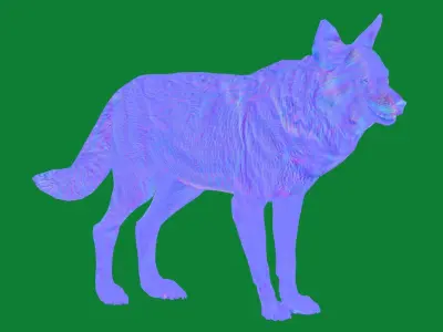 Alexander Archipelago Wolf Low-poly 3D model