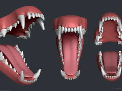Wolf Dog Teeth Set 3D model