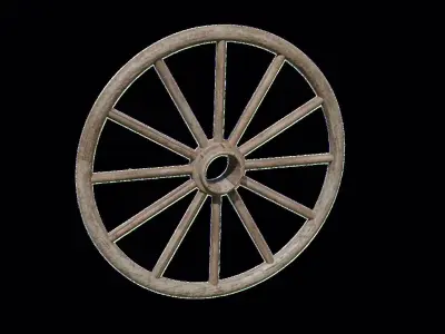 Wooden Tire 3D model