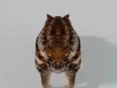 Mountain Paca - Guagua Low-poly 3D model