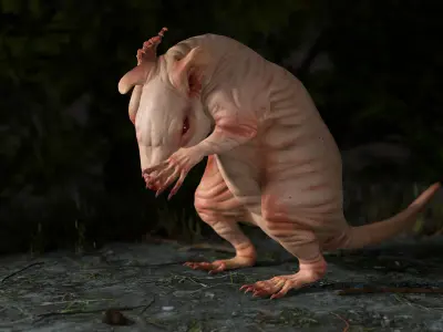 Naked Rat Low-poly 3D model