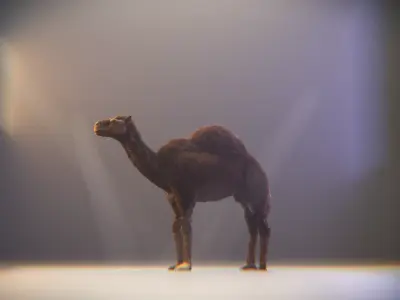 Realistic Camel Low-Poly 3D Model Low-poly 3D model