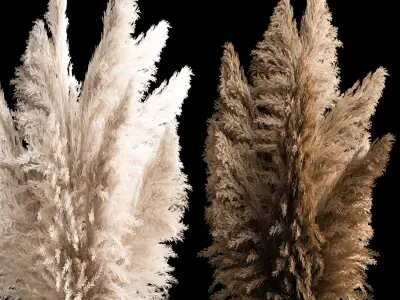 Bouquet Of Dry Reeds In A Black Metal Pot 272 3D model