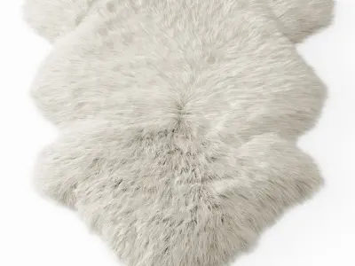 Sheepskin Rug 3D model