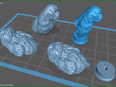 English Toy Spaniel bust 3D print model