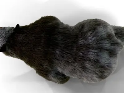 Fur Black Bear animated Low-poly 3D model