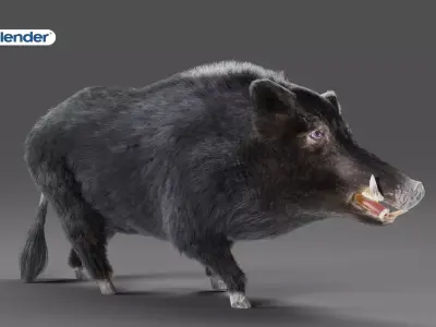 Fur Black Wild Boar Rigged in Blender Low-poly 3D model