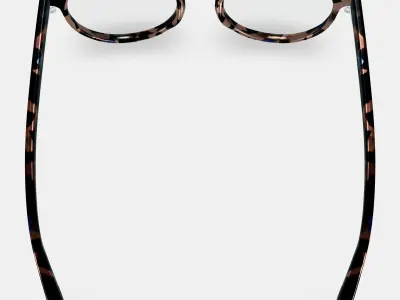 Leila Eyeglasses in Smoky Pearl Tortoise 3D model