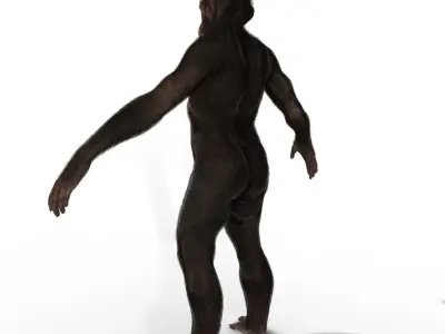 Ape Chimp Chimpanzee 3D model 3D model