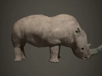 Animal rhinoceros Low-poly 3D model