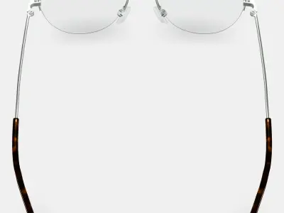 Vargas Eyeglasses in Antique Silver 3D model