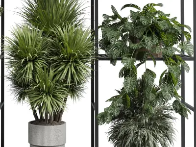 Standing metal shelf with a set of plants in wooden Low-poly 3D model