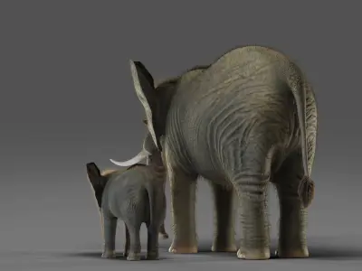 Fur Elephant and Baby Elephant NO Rigged in Blender Low-poly 3D model
