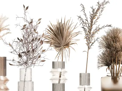 Collection of minimalist bouquets dried flowers pampas vase 323 3D model