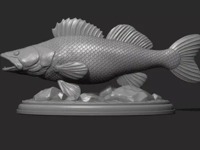 Zander on the base 3D print model