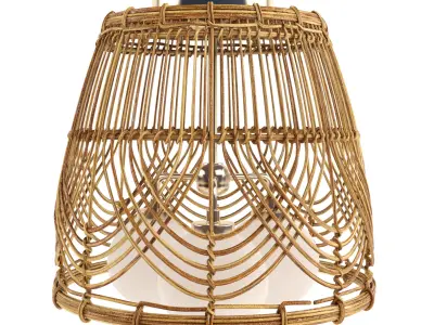 Serene deco celling light 3D model