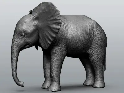 Wild Baby animal collection  5 animals 3D model