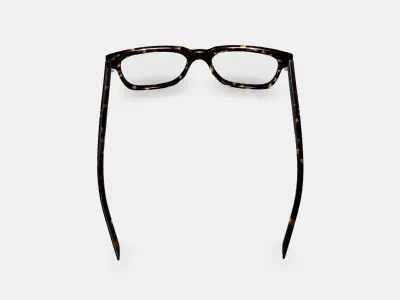 Chamberlain Eyeglasses in Whiskey Tortoise 3D model