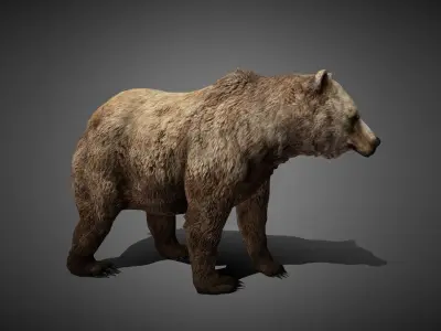 50 Realistic Animals FULL PACK Low-poly 3D model