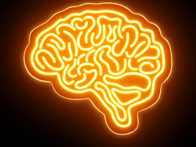 Brain Neon Sign 3D model
