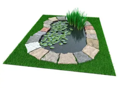 Garden Pond With Foliage 3D model