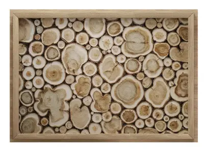 Art panel juniper 3D model