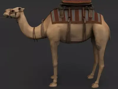 Camel with saddle 3D model