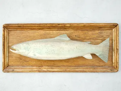 Fish Mounts Collection