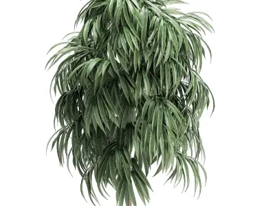 Decorative tree in a white flowerpot for interior design 501 3D model